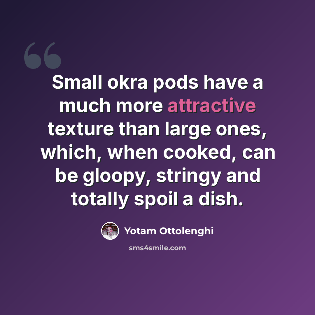 “Small okra pods have a much more attractive texture than large ones, which, when cooked, can be gloopy, stringy and totally spoil a dish.” quote by Yotam Ottolenghi