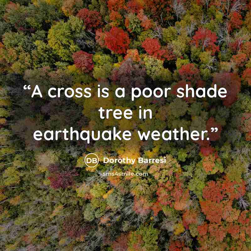“A cross is a poor shade tree in earthquake weather.” quote by Dorothy Barresi