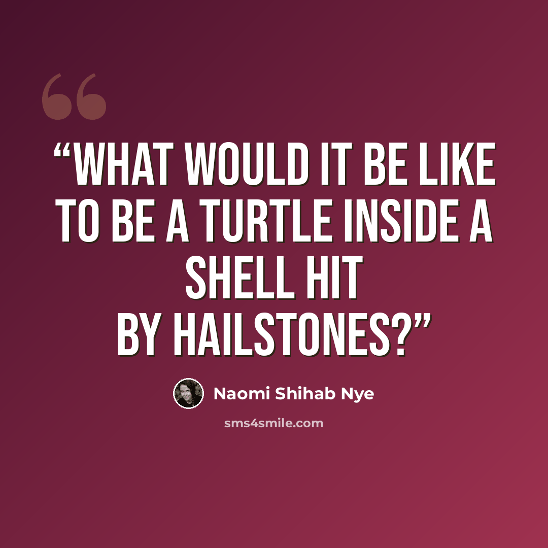 “What would it be like to be a turtle inside a shell hit by hailstones?” quote by Naomi Shihab Nye