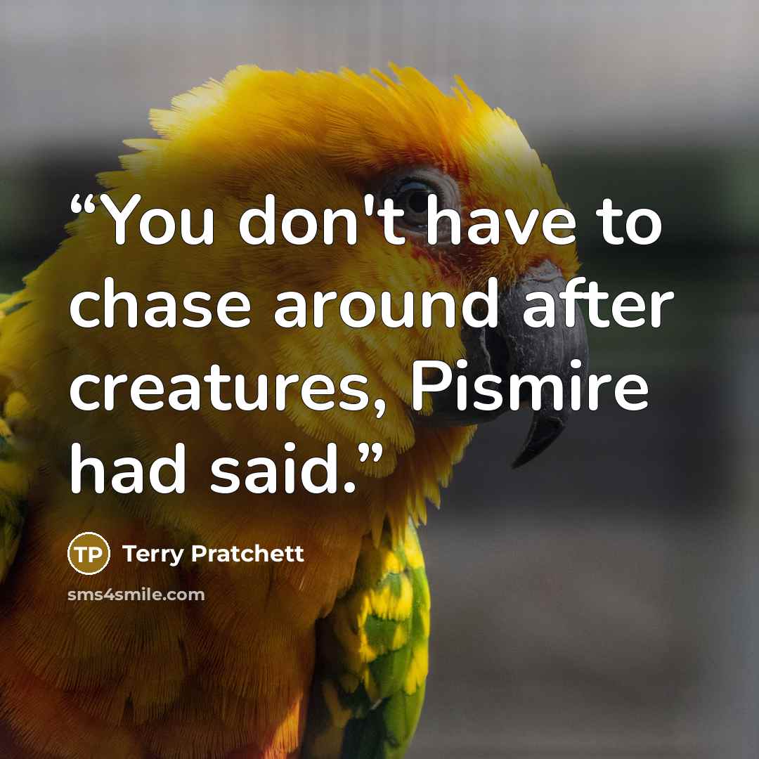 “You don't have to chase around after creatures, Pismire had said.” quote by Terry Pratchett