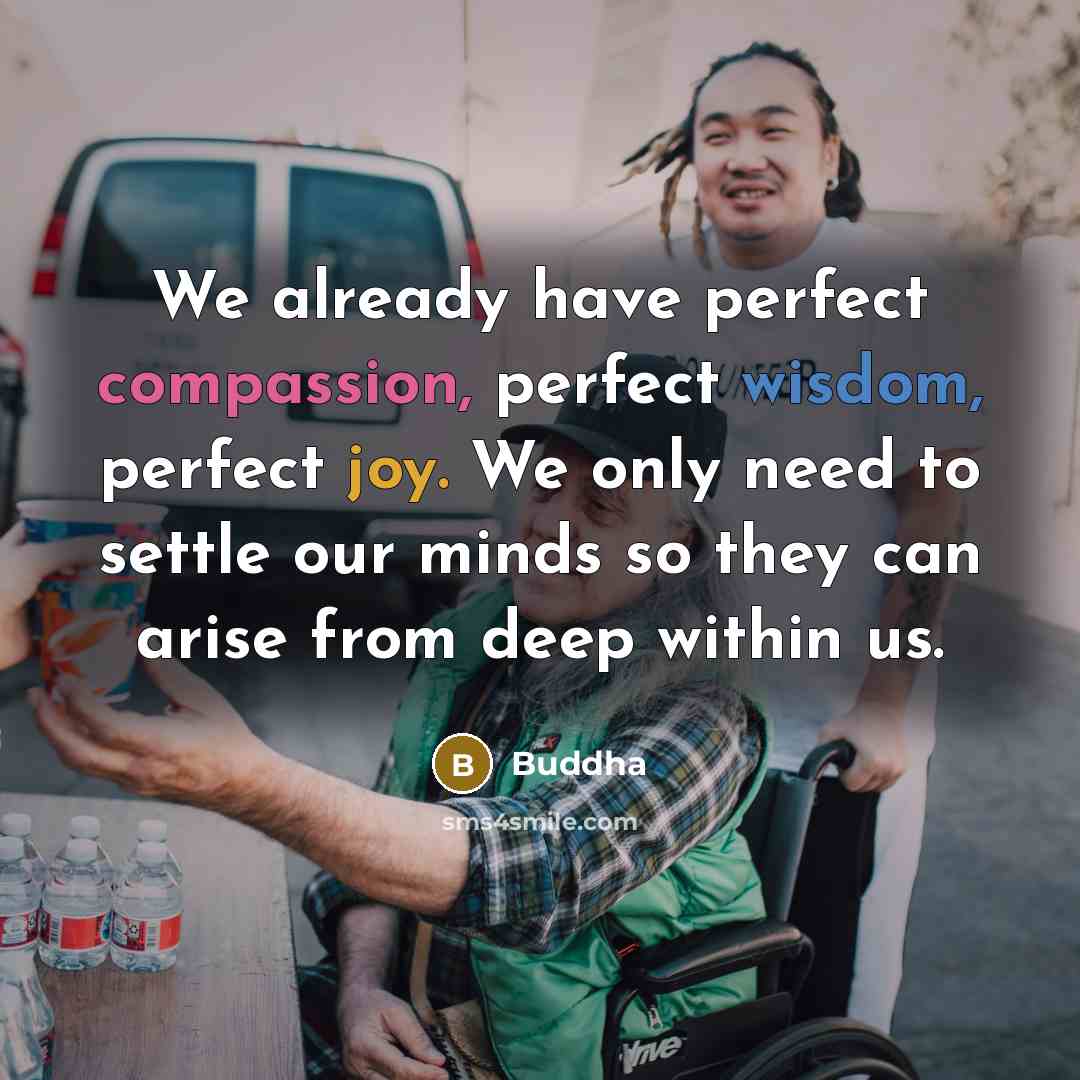 “We already have perfect compassion, perfect wisdom, perfect joy. We only need to settle our minds so they can arise from deep within us.” quote by Buddha