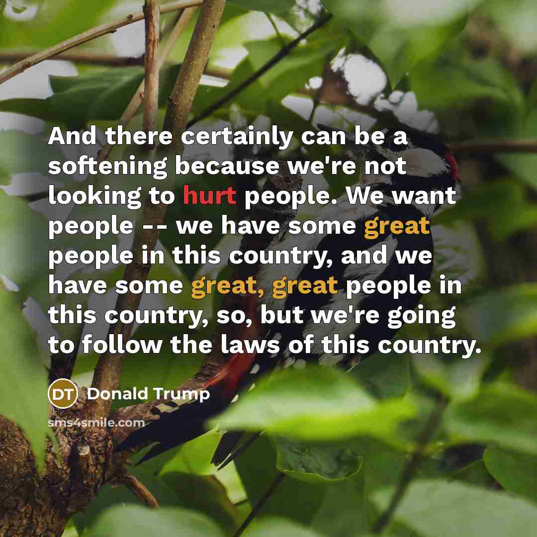 “And there certainly can be a softening because we're not looking to hurt people. We want people -- we have some great people in this country, and we have some great, great people in this country, so, but we're going to follow the laws of this country.” quote by Donald Trump