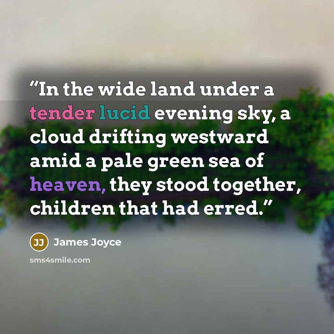 “In the wide land under a tender lucid evening sky, a cloud drifting westward amid a pale green sea of heaven, they stood together, children that had erred.” quote by James Joyce