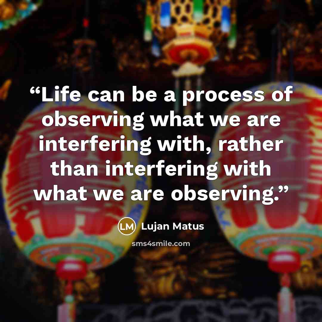 “Life can be a process of observing what we are interfering with, rather than interfering with what we are observing.” quote by Lujan Matus