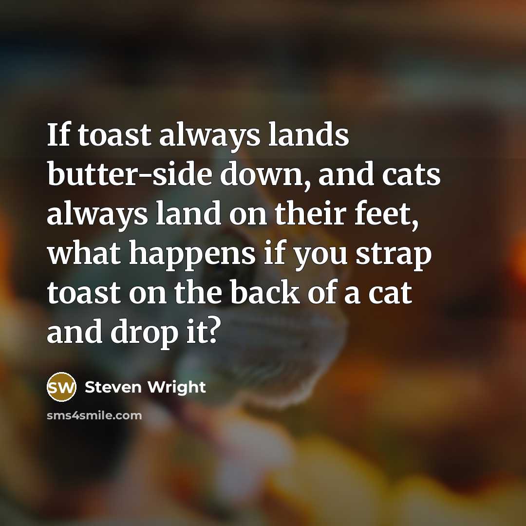 “If toast always lands butter-side down, and cats always land on their feet, what happens if you strap toast on the back of a cat and drop it?” quote by Steven Wright