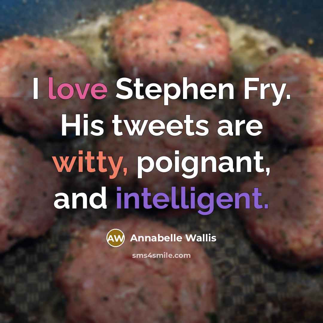 “I love Stephen Fry. His tweets are witty, poignant, and intelligent.” quote by Annabelle Wallis