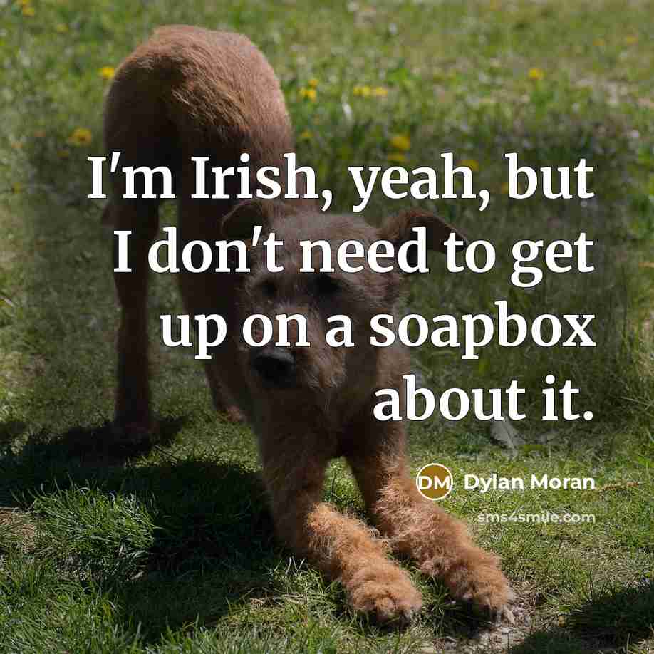 “I'm Irish, yeah, but I don't need to get up on a soapbox about it.” quote by Dylan Moran