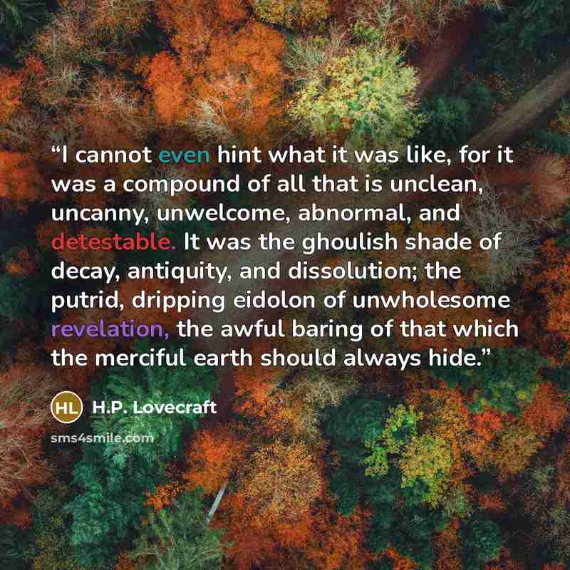 “I cannot even hint what it was like, for it was a compound of all that is unclean, uncanny, unwelcome, abnormal, and detestable. It was the ghoulish shade of decay, antiquity, and dissolution; the putrid, dripping eidolon of unwholesome revelation, the awful baring of that which the merciful earth…” quote by H.P. Lovecraft
