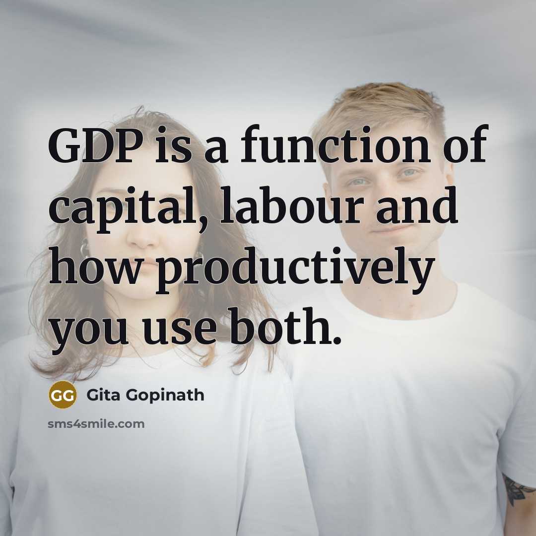 “GDP is a function of capital, labour and how productively you use both.” quote by Gita Gopinath