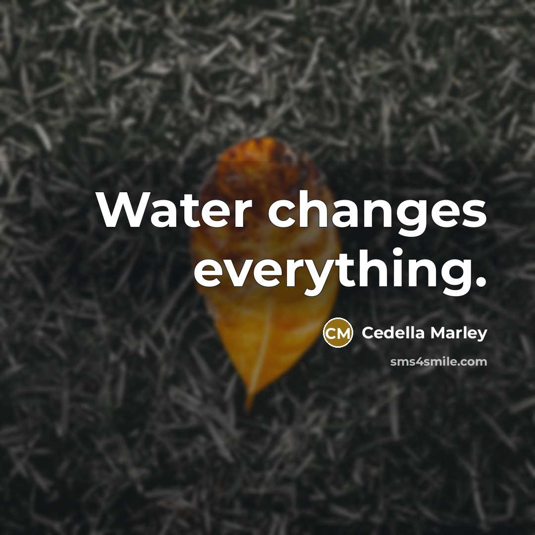 “Water changes everything.” quote by Cedella Marley