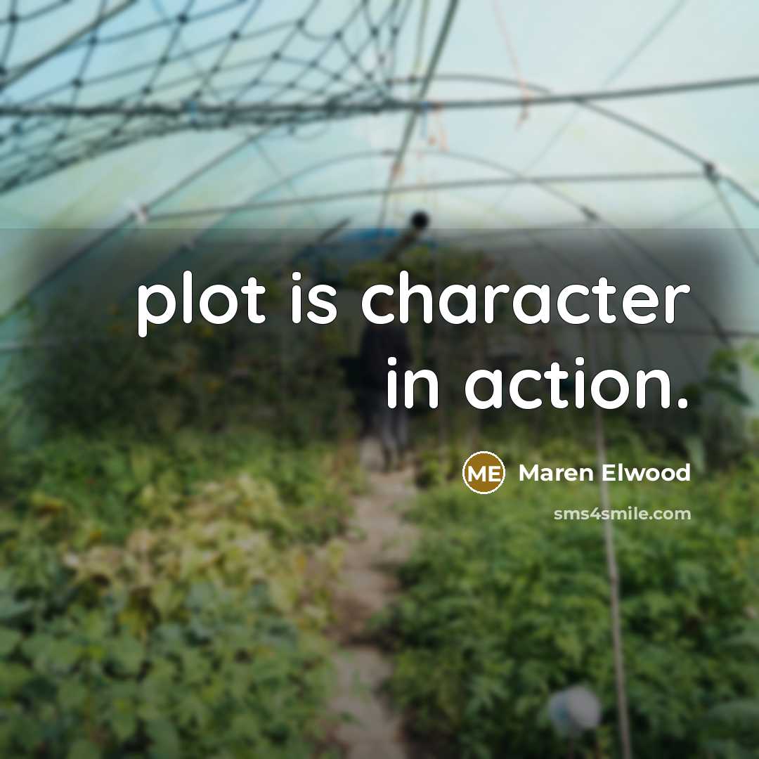 “plot is character in action.” quote by Maren Elwood