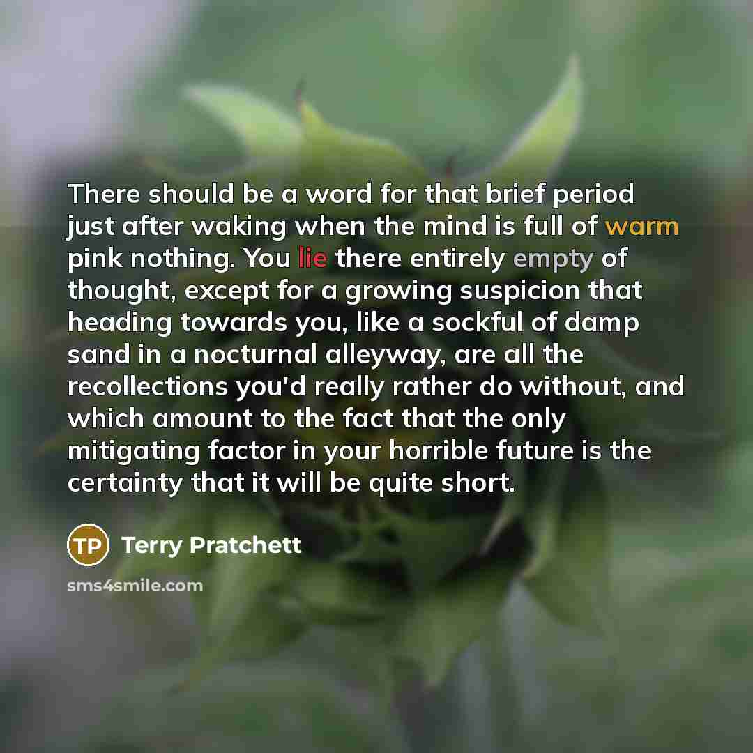 “There should be a word for that brief period just after waking when the mind is full of warm pink nothing. You lie there entirely empty of thought, except for a growing suspicion that heading towards you, like a sockful of damp sand in a nocturnal alleyway, are all the recollections you'd really…” quote by Terry Pratchett