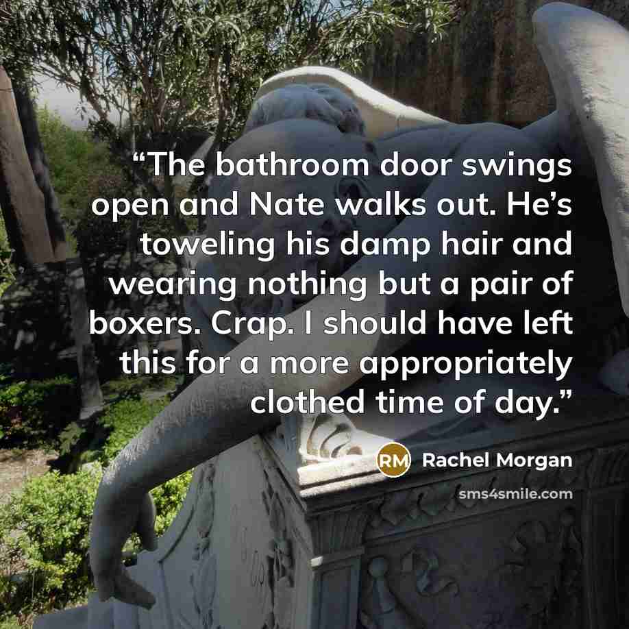 “The bathroom door swings open and Nate walks out. He’s toweling his damp hair and wearing nothing but a pair of boxers. Crap. I should have left this for a more appropriately clothed time of day.” quote by Rachel Morgan