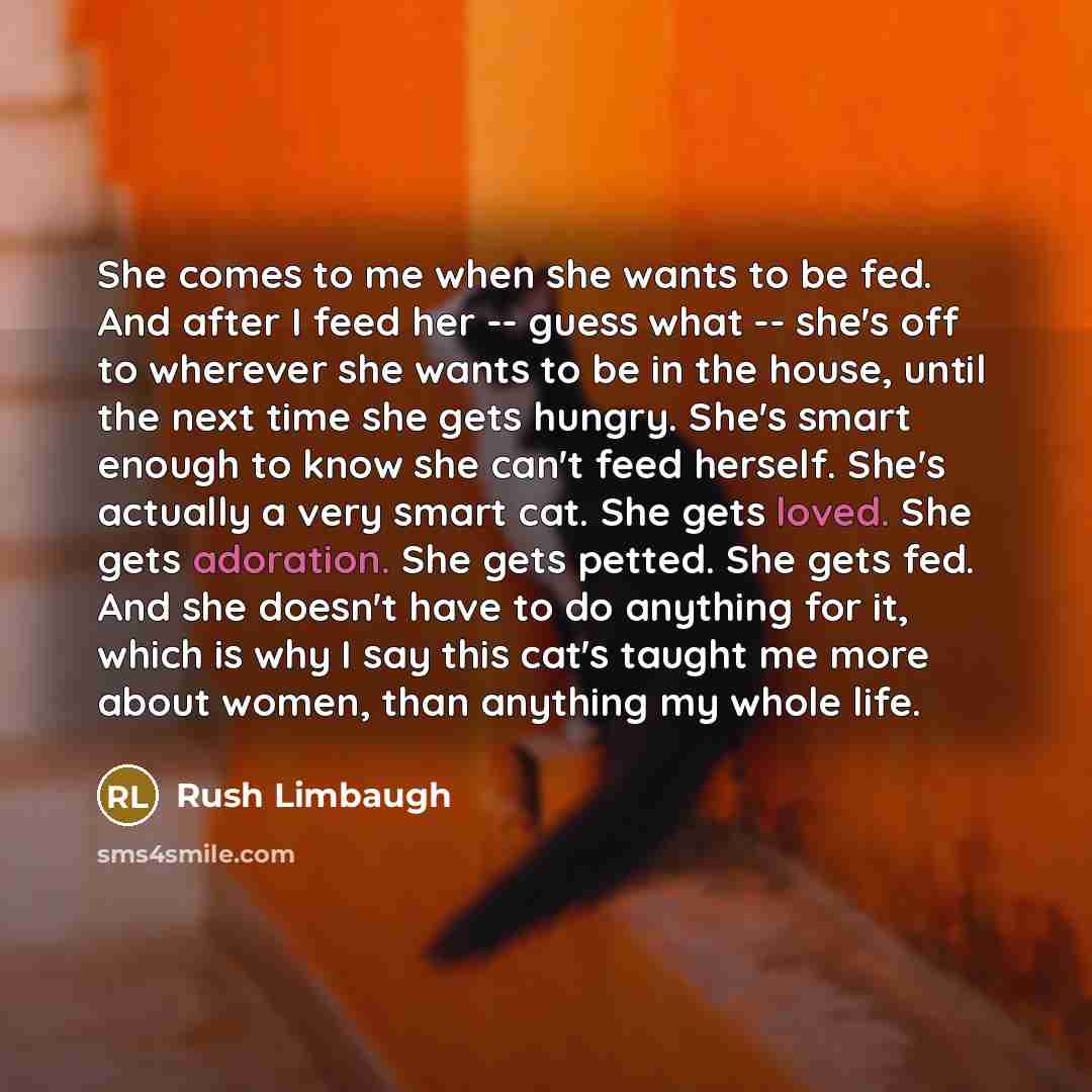 “She comes to me when she wants to be fed. And after I feed her -- guess what -- she's off to wherever she wants to be in the house, until the next time she gets hungry. She's smart enough to know she can't feed herself. She's actually a very smart cat. She gets loved. She gets adoration. She gets…” quote by Rush Limbaugh