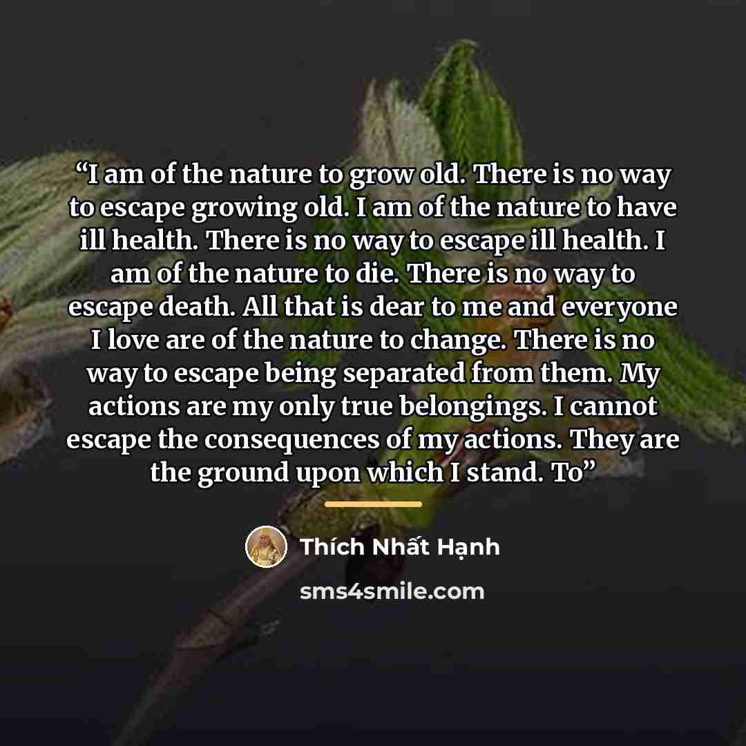 “I am of the nature to grow old. There is no way to escape growing old. I am of the nature to have ill health. There is no way to escape ill health. I am of the nature to die. There is no way to escape death. All that is dear to me and everyone I love are of the nature to change. There is no way to…” quote by Thich Nhat Hanh