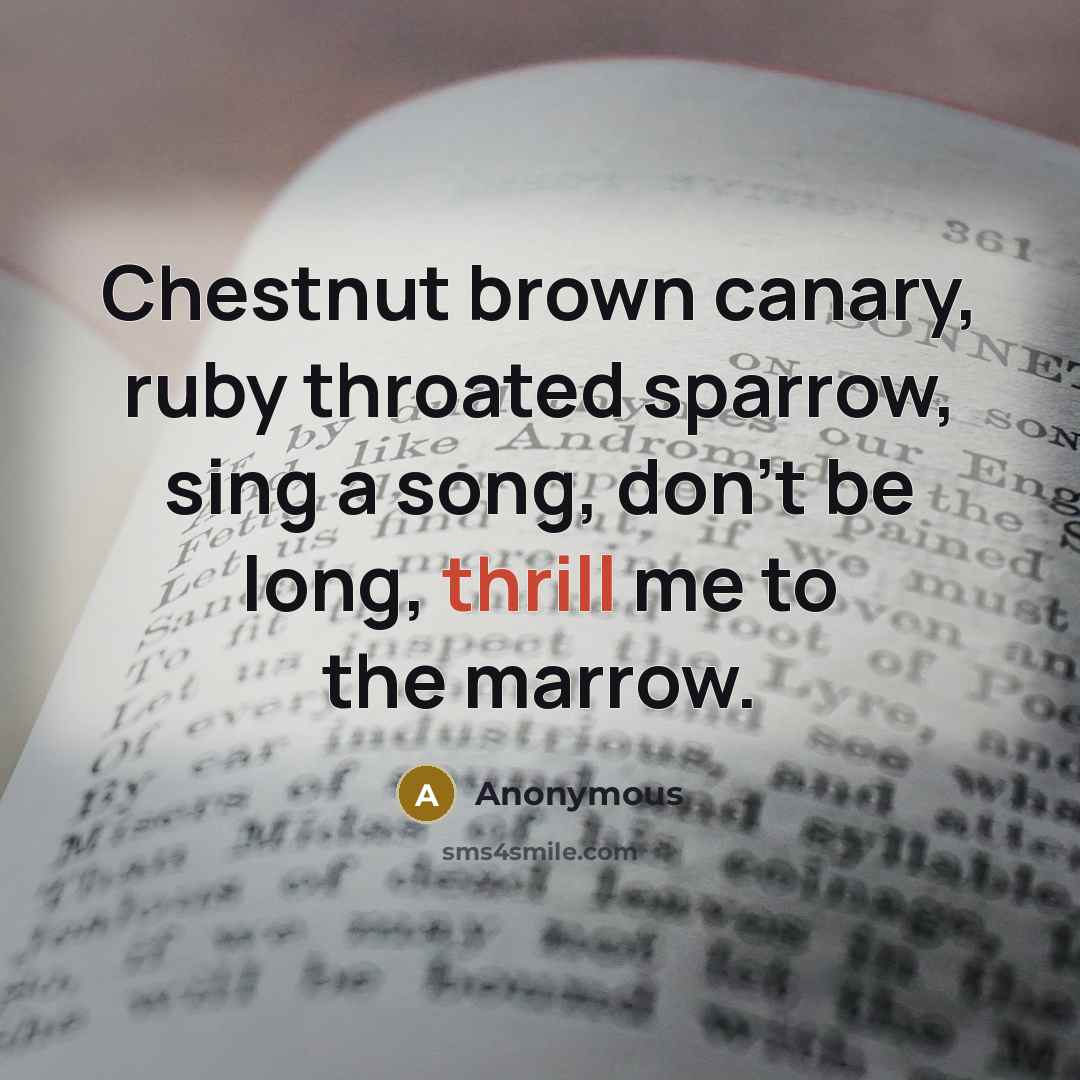“Chestnut brown canary, ruby throated sparrow, sing a song, don't be long, thrill me to the marrow.” quote by Anonymous