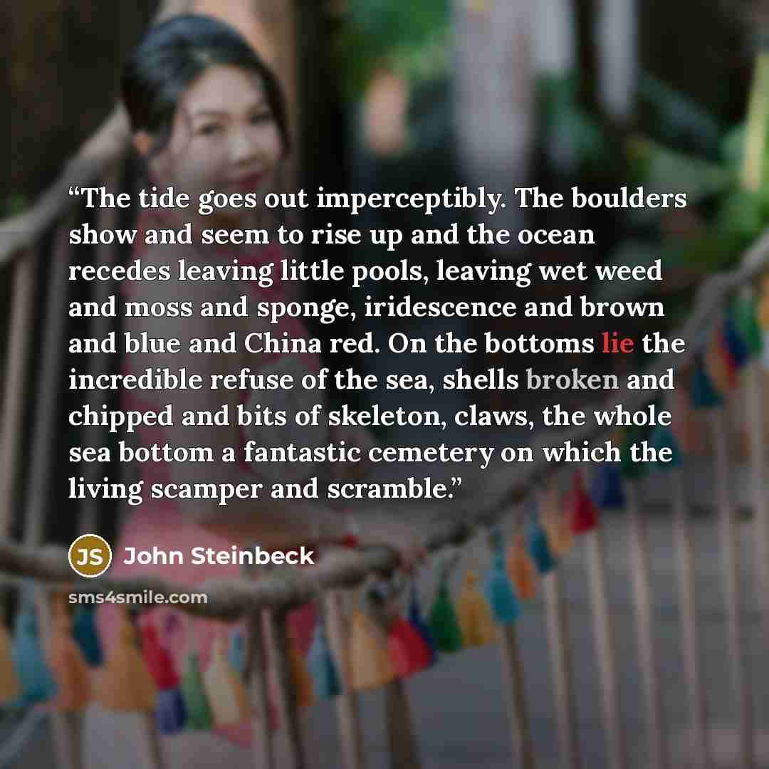 “The tide goes out imperceptibly. The boulders show and seem to rise up and the ocean recedes leaving little pools, leaving wet weed and moss and sponge, iridescence and brown and blue and China red. On the bottoms lie the incredible refuse of the sea, shells broken and chipped and bits of…” quote by John Steinbeck