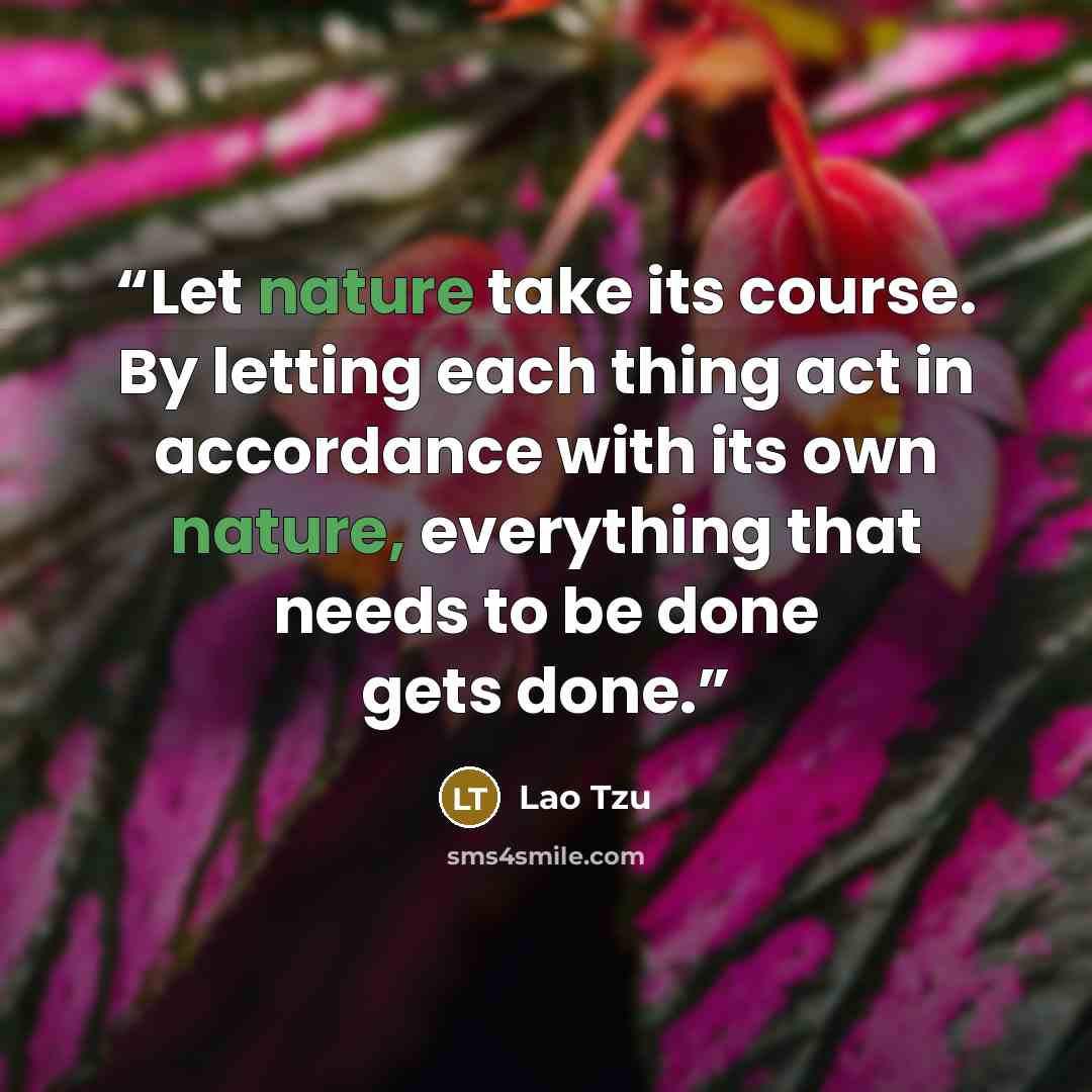 “Let nature take its course. By letting each thing act in accordance with its own nature, everything that needs to be done gets done.” quote by Lao Tzu