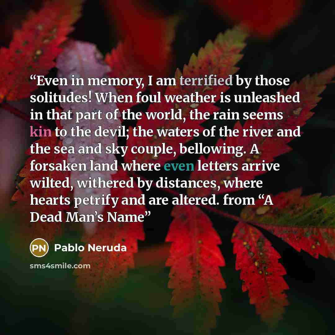 “Even in memory, I am terrified by those solitudes! When foul weather is unleashed in that part of the world, the rain seems kin to the devil; the waters of the river and the sea and sky couple, bellowing. A forsaken land where even letters arrive wilted, withered by distances, where hearts petrify…” quote by Pablo Neruda