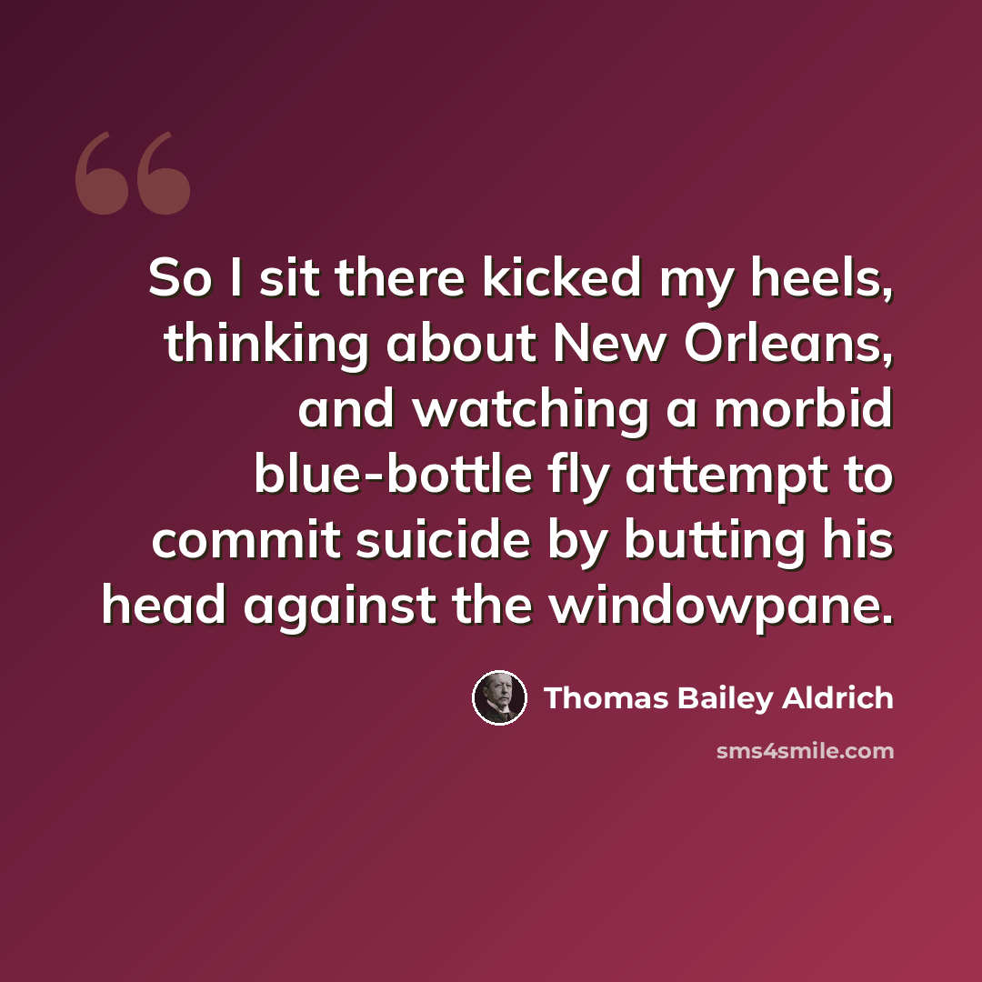 “So I sit there kicked my heels, thinking about New Orleans, and watching a morbid blue-bottle fly attempt to commit suicide by butting his head against the windowpane.” quote by Thomas Bailey Aldrich