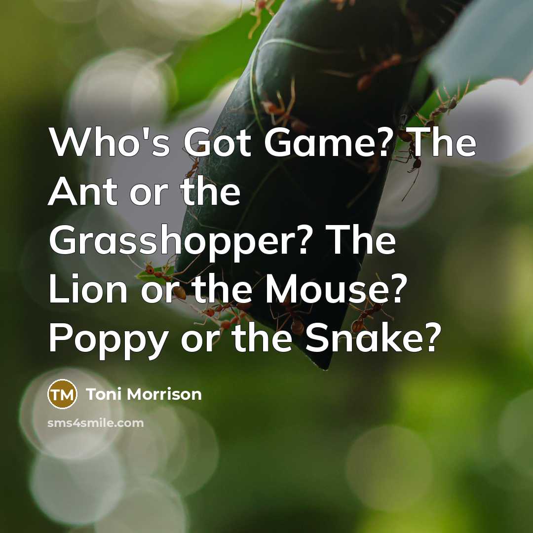 “Who's Got Game? The Ant or the Grasshopper? The Lion or the Mouse? Poppy or the Snake?” quote by Toni Morrison