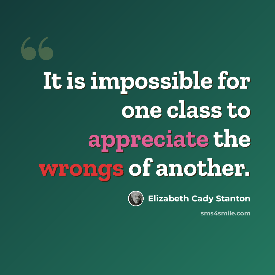 “It is impossible for one class to appreciate the wrongs of another.” quote by Elizabeth Cady Stanton