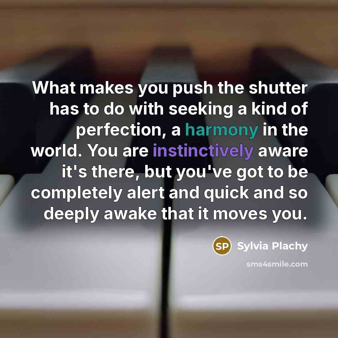 “What makes you push the shutter has to do with seeking a kind of perfection, a harmony in the world. You are instinctively aware it's there, but you've got to be completely alert and quick and so deeply awake that it moves you.” quote by Sylvia Plachy