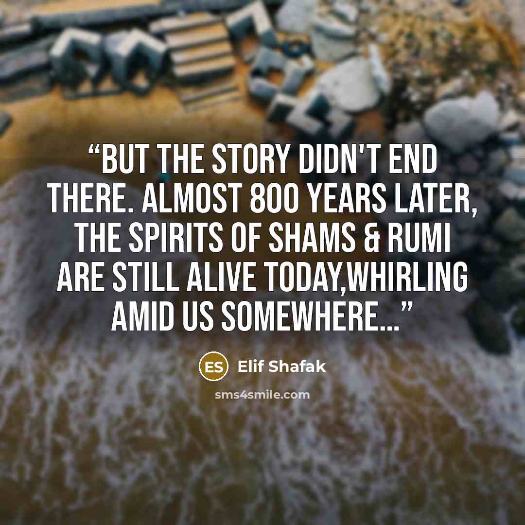 “But the story didn't end there. Almost 800 years later, the spirits of Shams & Rumi are still alive today,whirling amid us somewhere…” quote by Elif Shafak