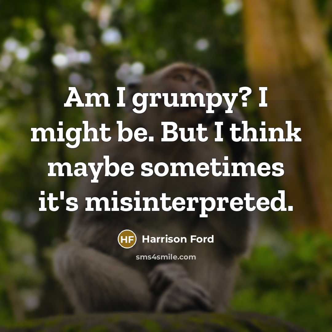 “Am I grumpy? I might be. But I think maybe sometimes it's misinterpreted.” quote by Harrison Ford