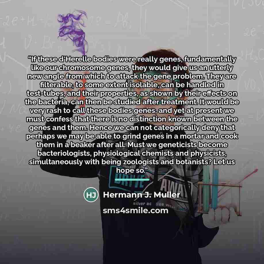 “If these d'Herelle bodies were really genes, fundamentally like our chromosome genes, they would give us an utterly new angle from which to attack the gene problem. They are filterable, to some extent isolable, can be handled in test-tubes, and their properties, as shown by their effects on the…” quote by Anonymous