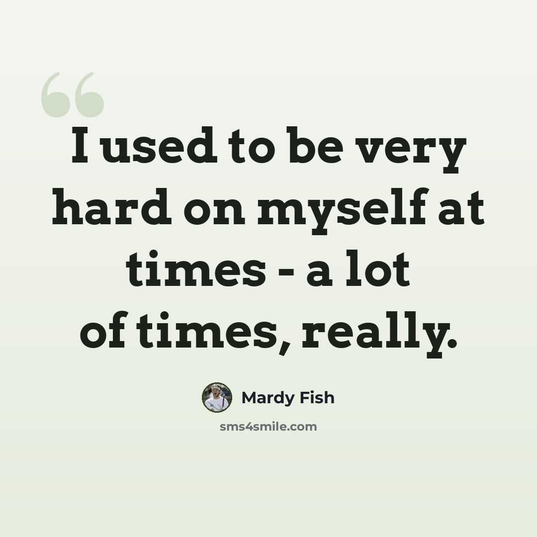 “I used to be very hard on myself at times - a lot of times, really.” quote by Mardy Fish