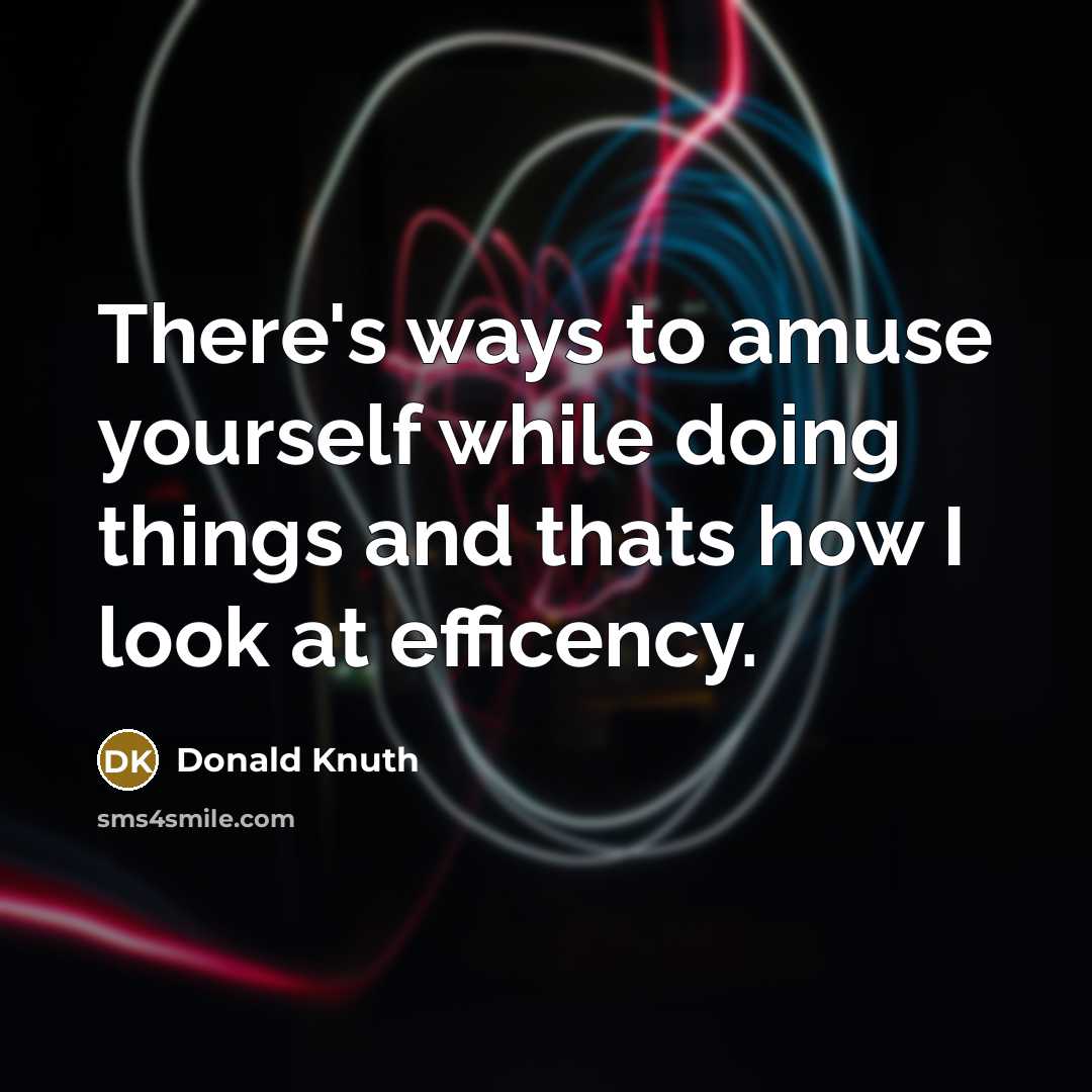 “There's ways to amuse yourself while doing things and thats how I look at efficency.” quote by Donald Knuth