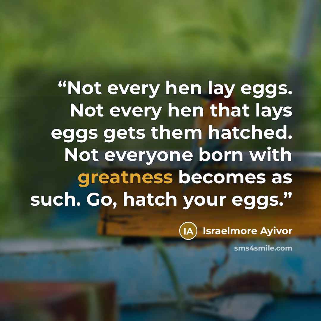 “Not every hen lay eggs. Not every hen that lays eggs gets them hatched. Not everyone born with greatness becomes as such. Go, hatch your eggs.” quote by Israelmore Ayivor