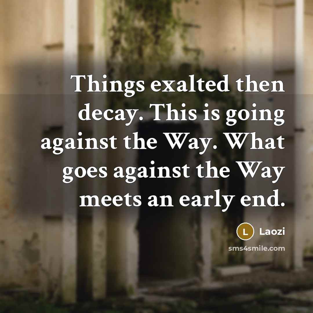 “Things exalted then decay. This is going against the Way. What goes against the Way meets an early end.” quote by Laozi