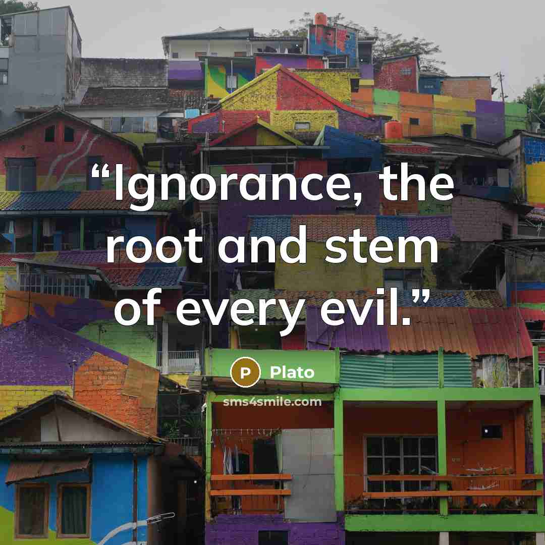“Ignorance, the root and stem of every evil.” quote by Plato