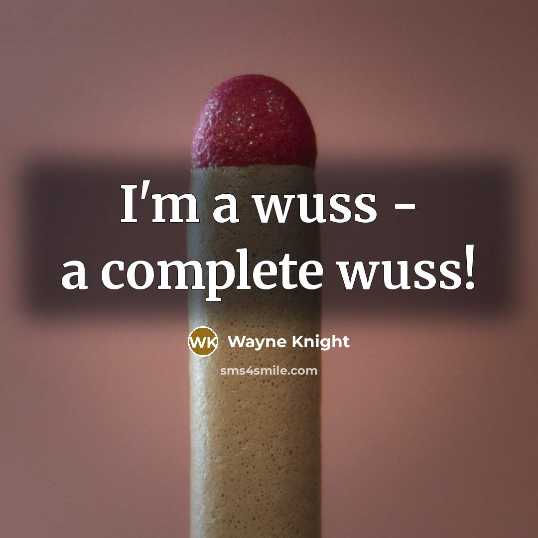 “I'm a wuss - a complete wuss!” quote by Wayne Knight