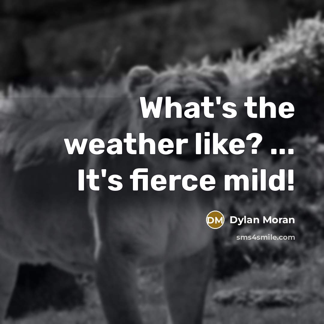 “‎What's the weather like? ... It's fierce mild!” quote by Dylan Moran
