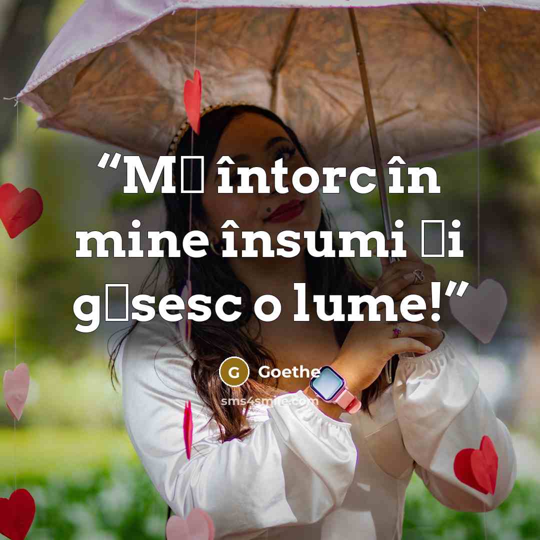 “Mă întorc în mine însumi și găsesc o lume!” quote by Goethe