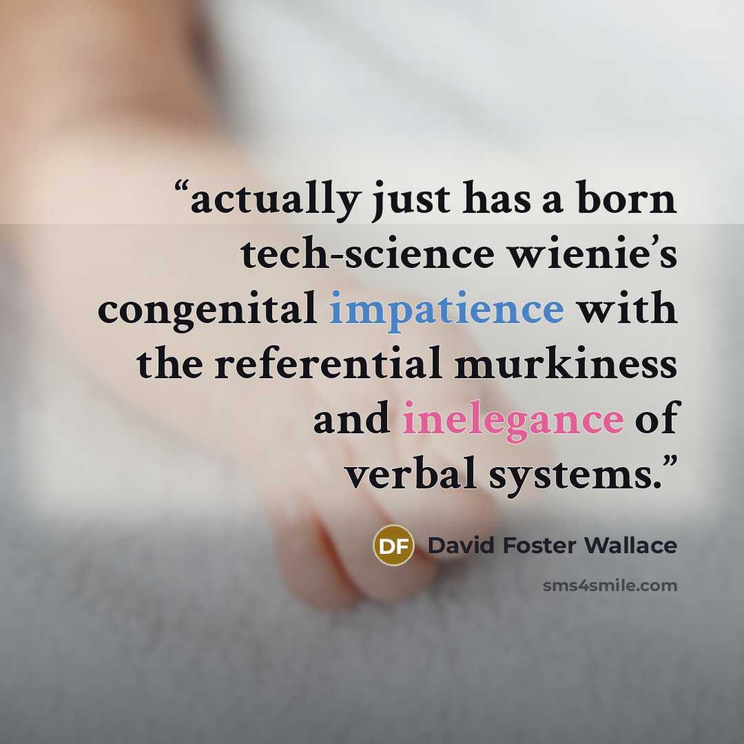 “actually just has a born tech-science wienie’s congenital impatience with the referential murkiness and inelegance of verbal systems.” quote by David Foster Wallace