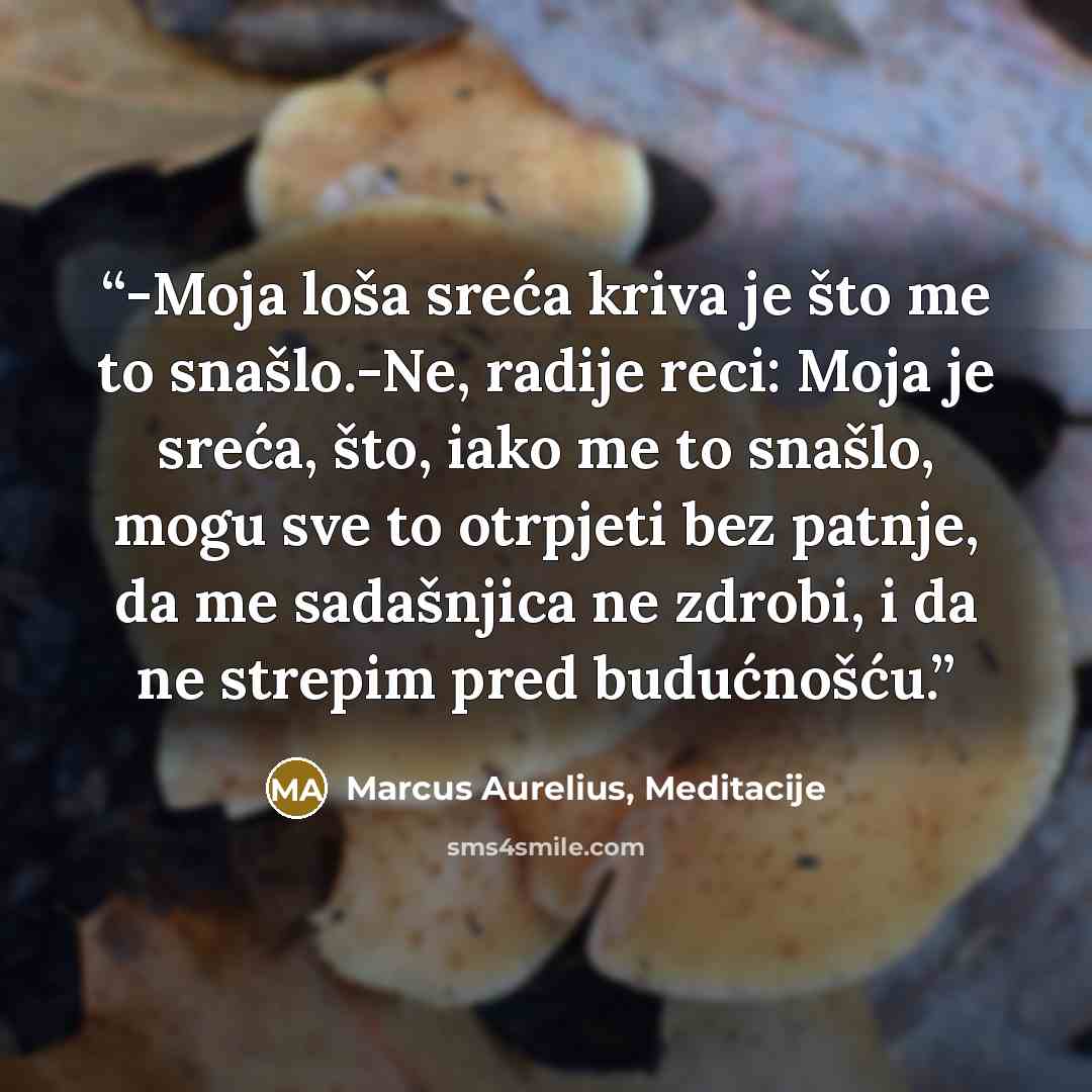 “-Moja loša sreća kriva je što me to snašlo.-Ne, radije reci: Moja je sreća, što, iako me to snašlo, mogu sve to otrpjeti bez patnje, da me sadašnjica ne zdrobi, i da ne strepim pred budućnošću.” quote by Marcus Aurelius, Meditacije