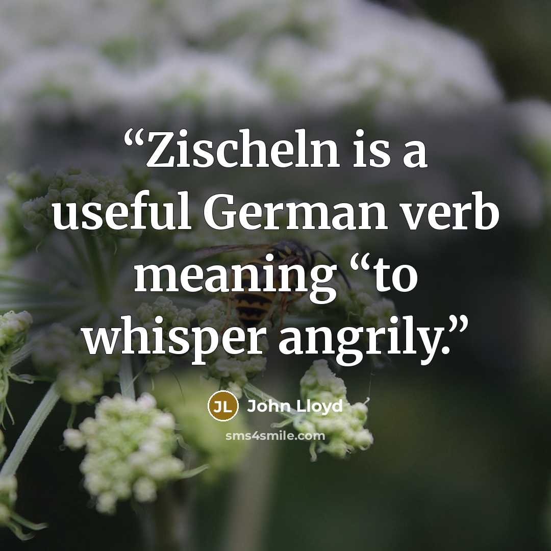 “Zischeln is a useful German verb meaning “to whisper angrily.” quote by John Lloyd