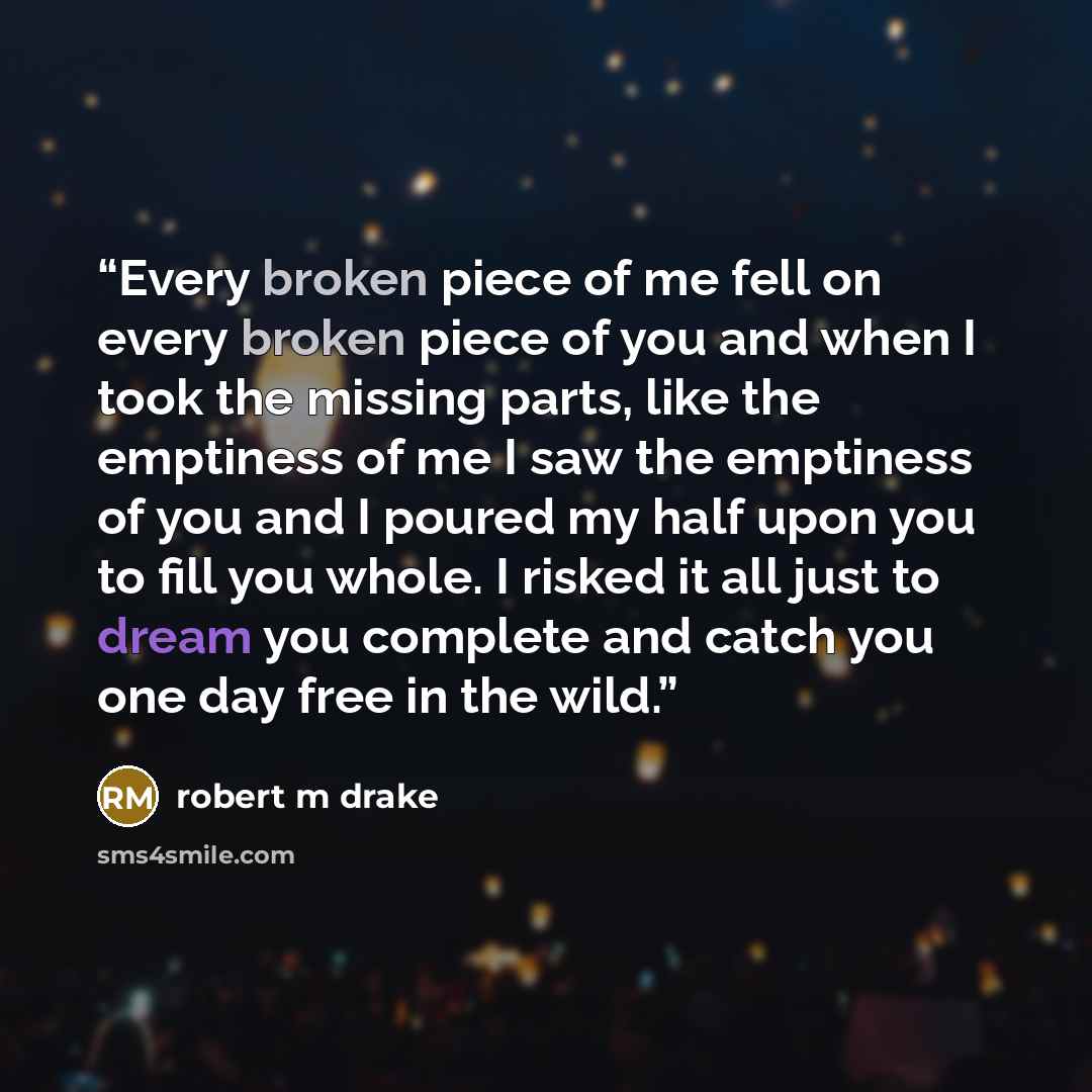 “Every broken piece of me fell on every broken piece of you and when I took the missing parts, like the emptiness of me I saw the emptiness of you and I poured my half upon you to fill you whole. I risked it all just to dream you complete and catch you one day free in the wild.” quote by robert m drake