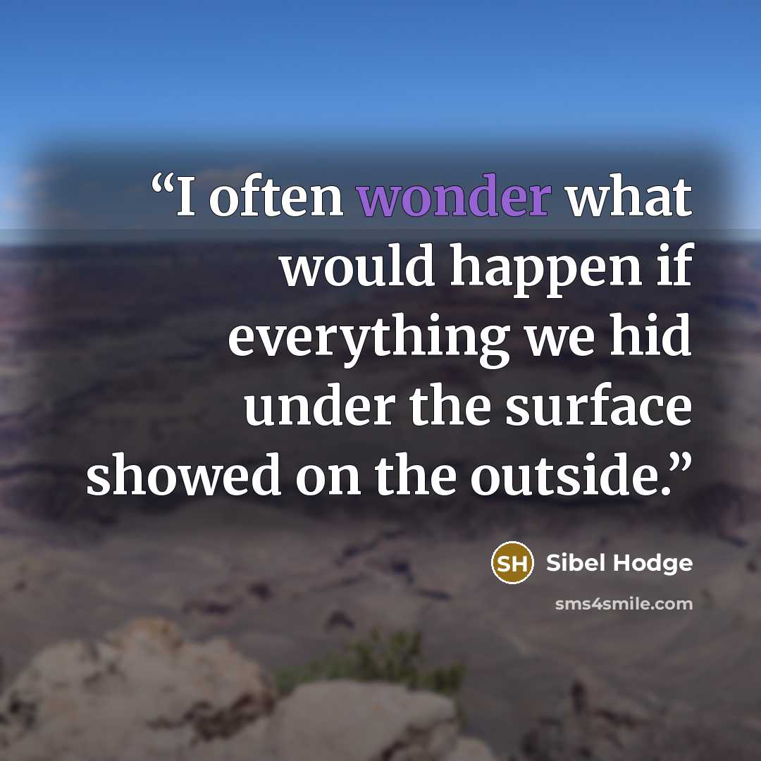 “I often wonder what would happen if everything we hid under the surface showed on the outside.” quote by Sibel Hodge