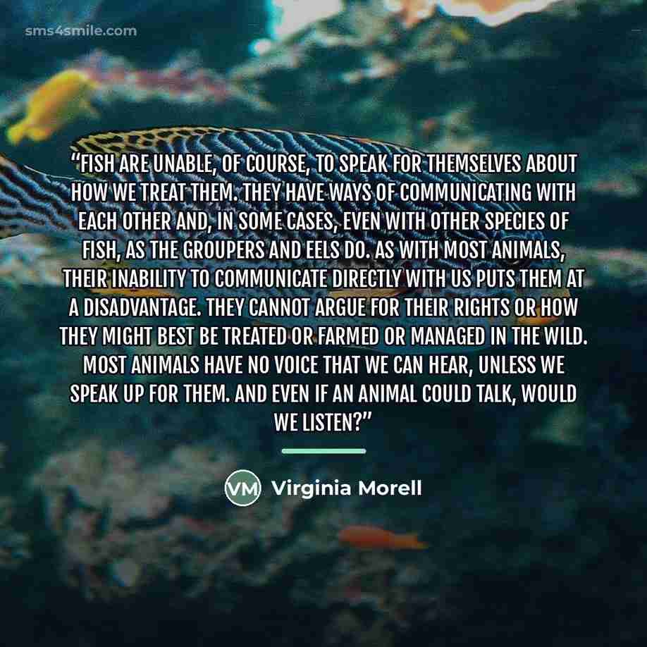“Fish are unable, of course, to speak for themselves about how we treat them. They have ways of communicating with each other and, in some cases, even with other species of fish, as the groupers and eels do. As with most animals, their inability to communicate directly with us puts them at a…” quote by Virginia Morell
