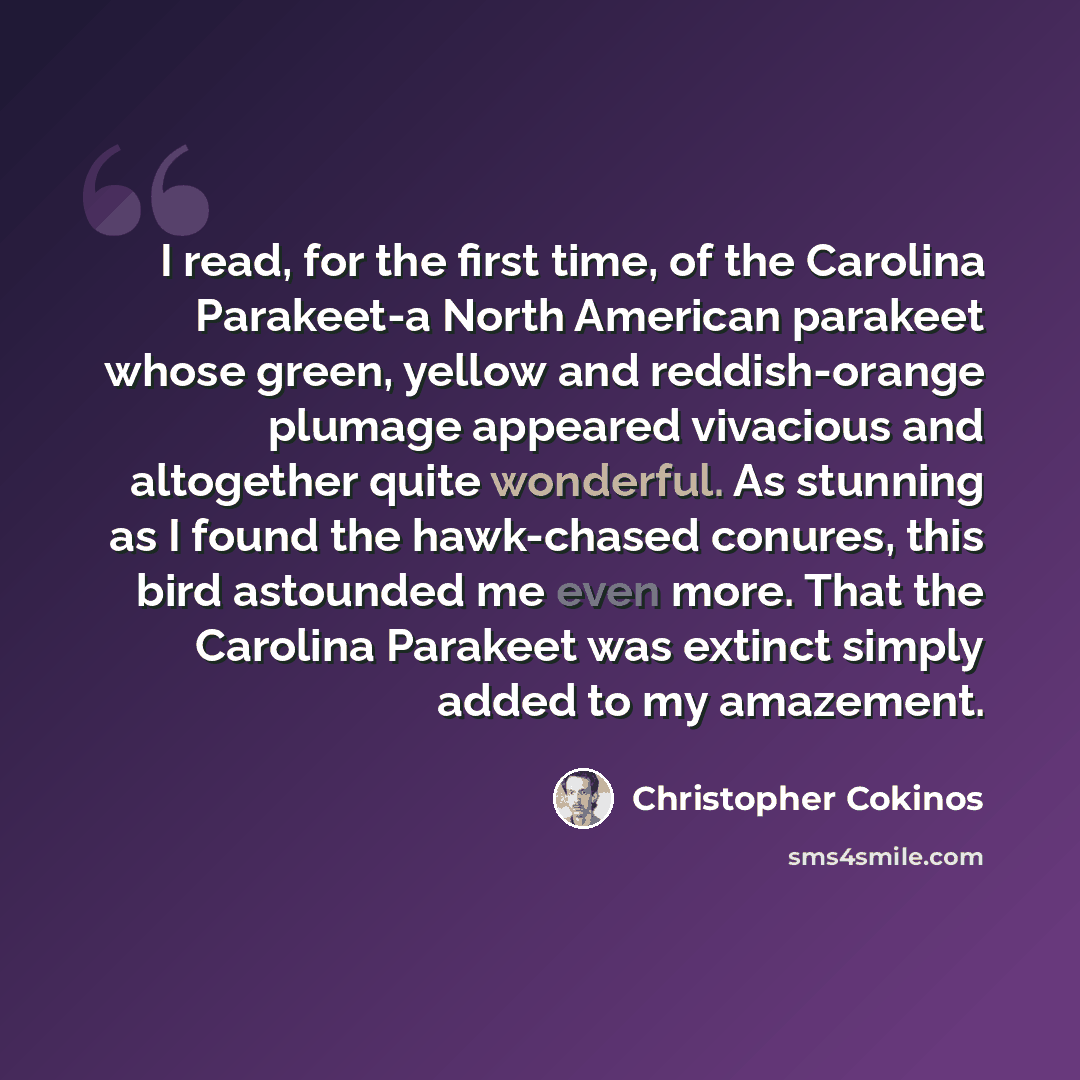 “I read, for the first time, of the Carolina Parakeet-a North American parakeet whose green, yellow and reddish-orange plumage appeared vivacious and altogether quite wonderful. As stunning as I found the hawk-chased conures, this bird astounded me even more. That the Carolina Parakeet was extinct…” quote by Christopher Cokinos