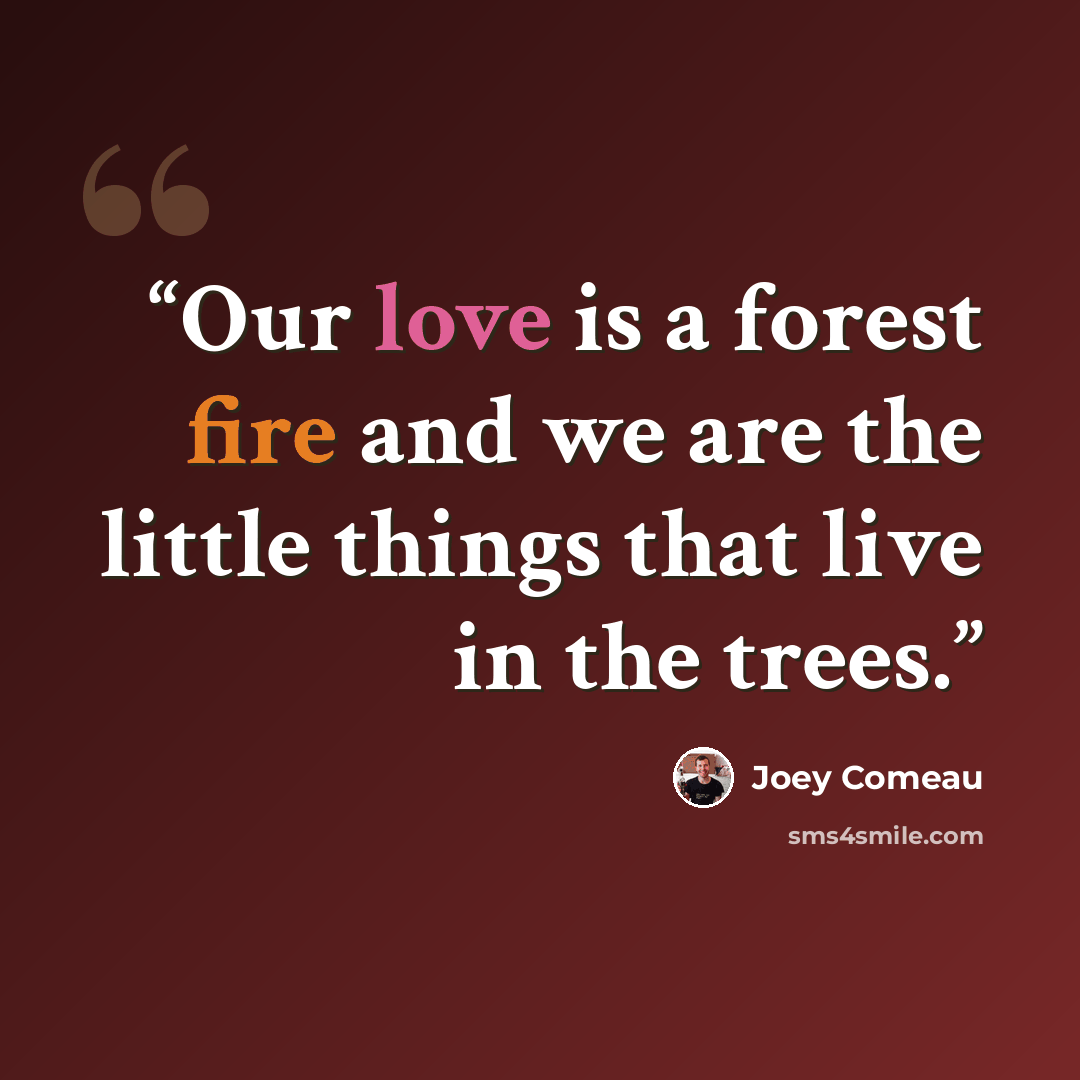 “Our love is a forest fire and we are the little things that live in the trees.” quote by Joey Comeau