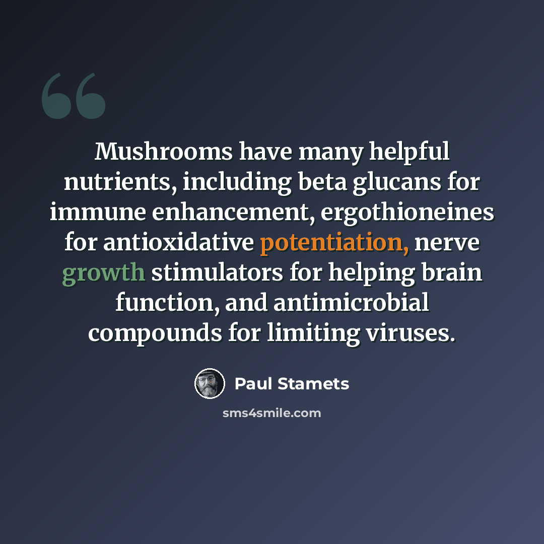 “Mushrooms have many helpful nutrients, including beta glucans for immune enhancement, ergothioneines for antioxidative potentiation, nerve growth stimulators for helping brain function, and antimicrobial compounds for limiting viruses.” quote by Paul Stamets