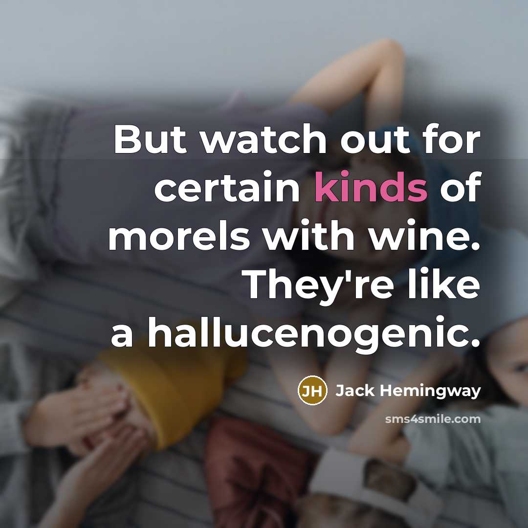“But watch out for certain kinds of morels with wine. They're like a hallucenogenic.” quote by Jack Hemingway