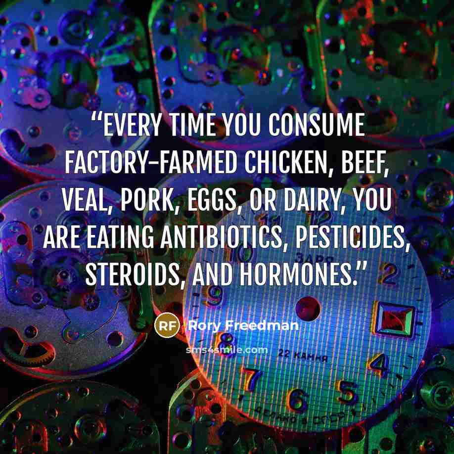 “Every time you consume factory-farmed chicken, beef, veal, pork, eggs, or dairy, you are eating antibiotics, pesticides, steroids, and hormones.” quote by Rory Freedman