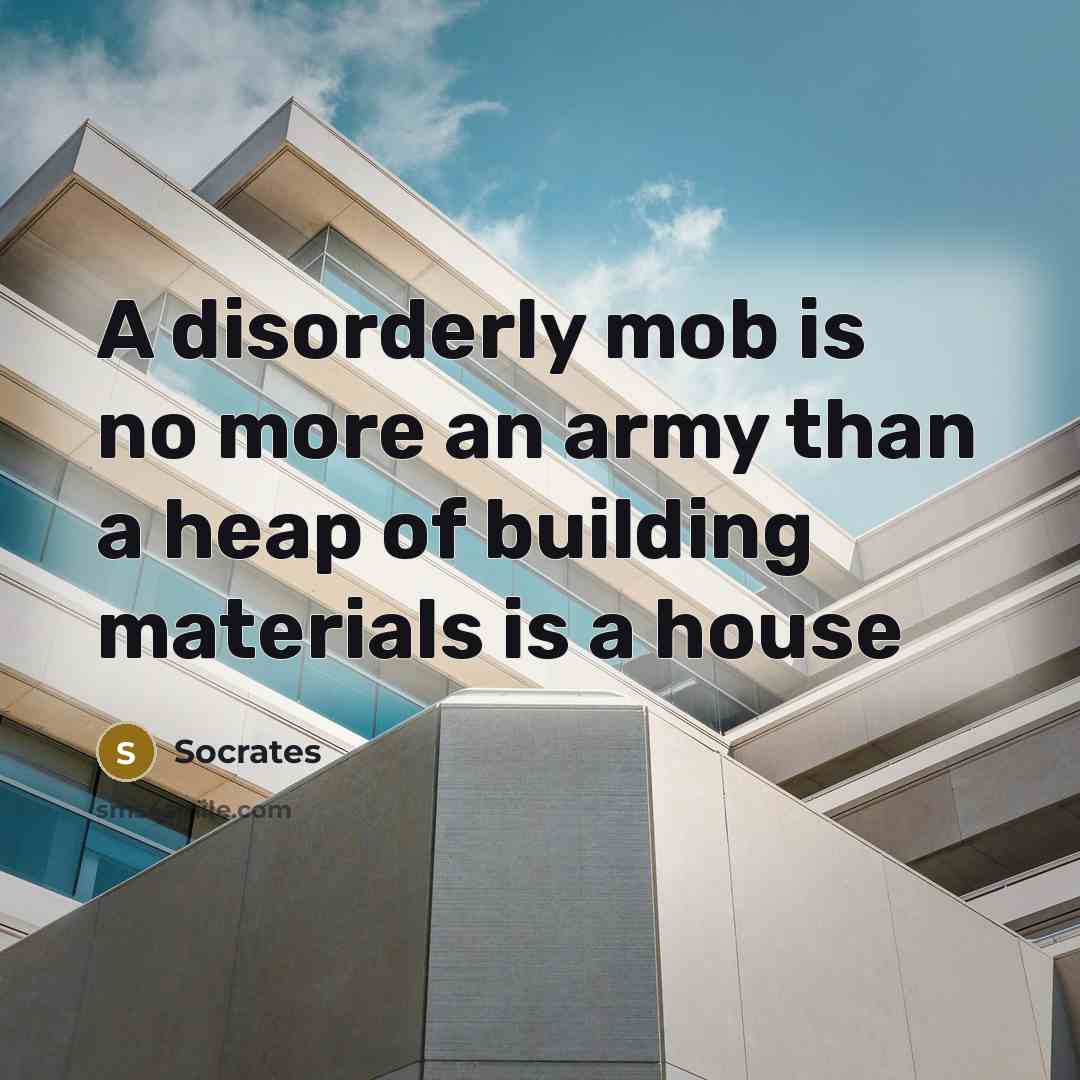 “A disorderly mob is no more an army than a heap of building materials is a house” quote by Socrates